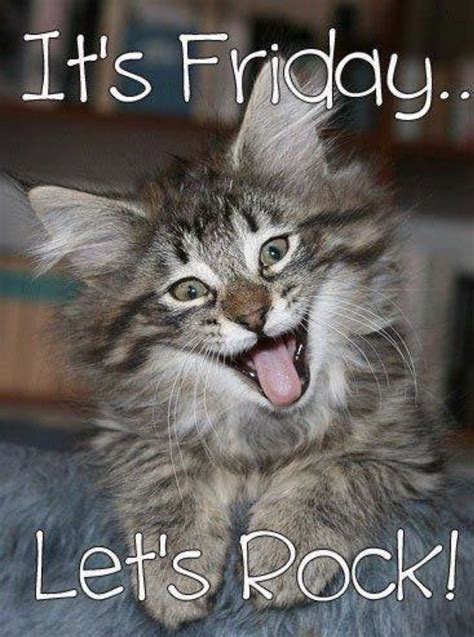 Yay Its Friday Cat Meme