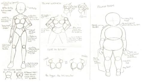 Horikoshi Style Guide Bodies My Hero Academia Amino Art Reference