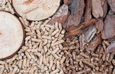 Co To Jest Biomasa Inspiracje I Porady