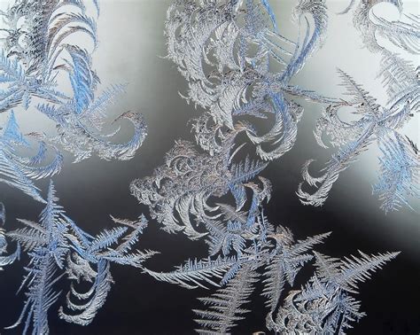 Ice Crystals I An Art Print By Carolynn Elwell Inprnt