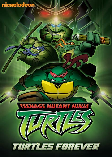 Teenage Mutant Ninja Turtles 2003 Tv Series Video Releases