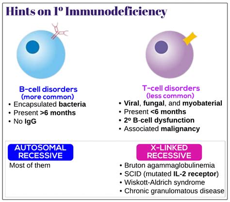 Hints On Primary Immunodeficiency Medicine Keys For Mrcps