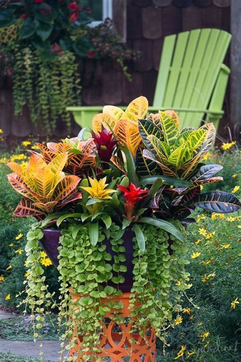 43 Wunderschöne Container Garten Blumen Ideen Für Den
