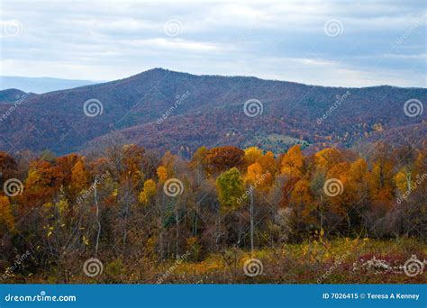 Autumn Shenandoah Valley Stock Image Image Of Ridges 7026415
