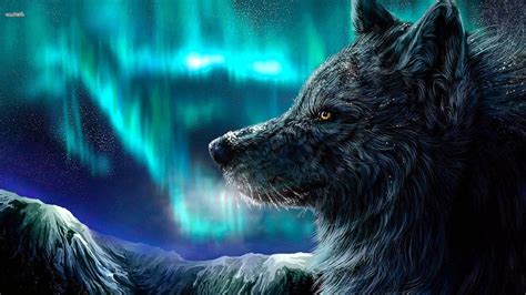 Cool Wolf 1080p Wallpapers Free Download