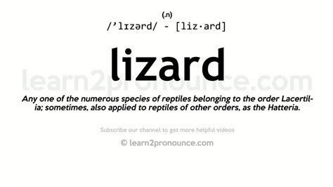 Pronunciation Of Lizard Definition Of Lizard Youtube