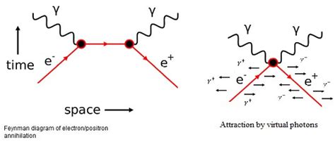 Feynman Diagrams And Absorption Of Electron And Positron By Virtual