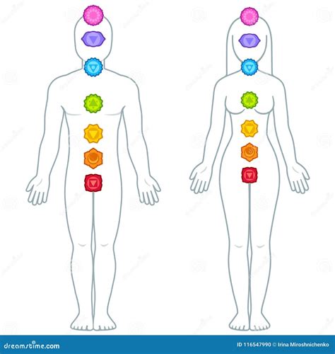 male and female body chakras infographic stock vector illustration of heart ayurveda 116547990