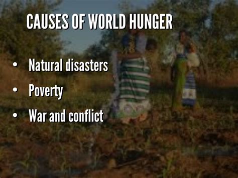 The Top 9 Causes Of World Hunger Concern