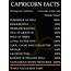 Pin On CAPRICORN FACTS