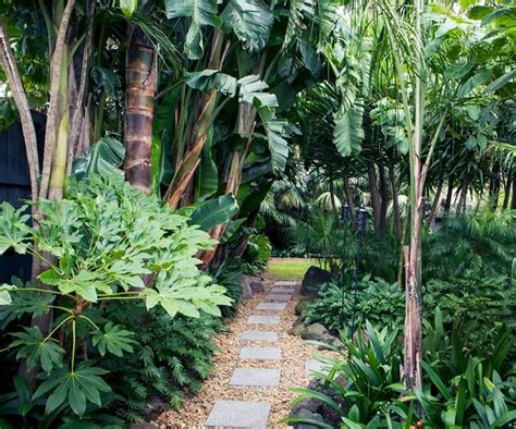 A Tropical Garden In The Heart Of Melbourne Tropical Garden Design