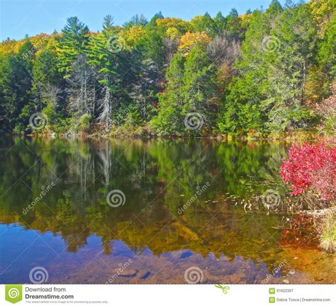 Bigelow Hollow State Park Union Connecticut Stock Image Image Of Pond