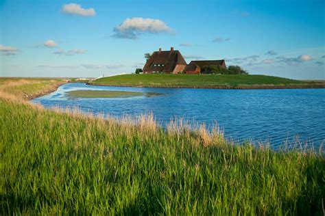 Dies unterscheidet sie von anderen inseln. Urlaub auf Hallig Hooge: Infos & Meer