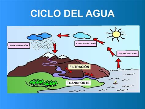 Esquema Del Ciclo Del Agua Y Sus Fases Ciclo Del Agua Images