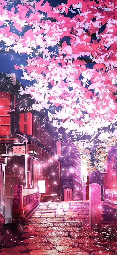 Cherry Blossom Tree Anime Wallpapers Wallpaper Cave