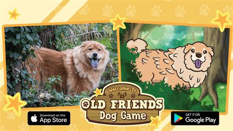 Old Friends Senior Dog Sanctuary Game Gameita