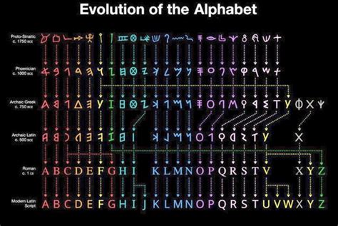 Evolution Of The Alphabet Nearly 3800 Years Of Letters Explored