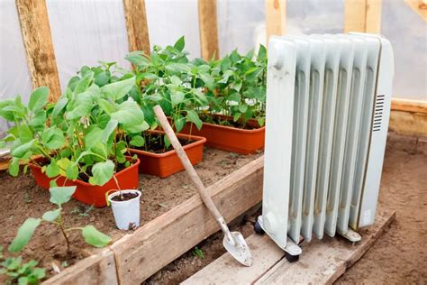 How To Heat A Greenhouse 8 Effective Methods The Spicy Trio