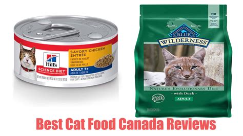 Best Cat Food Canada Reviews 2021 Cocafish