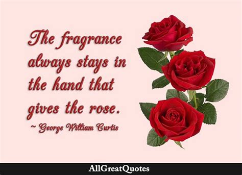 Rose Quotes Famous Rose Quotes Allgreatquotes