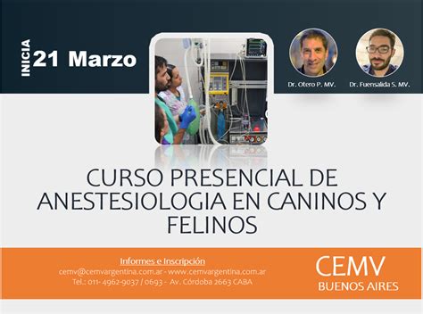 Curso Presencial De Anestesiología En Caninos Y Felinos Cemv Argentina