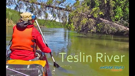 Teslin River With Nature Tours Of Yukon Youtube