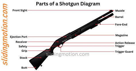 Guide For 16 Key Parts Of A Shotgun Names Functions And Diagram