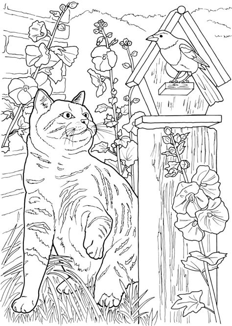 Dragonfly Treasure Lovable Cats And Dogs Coloring Pages