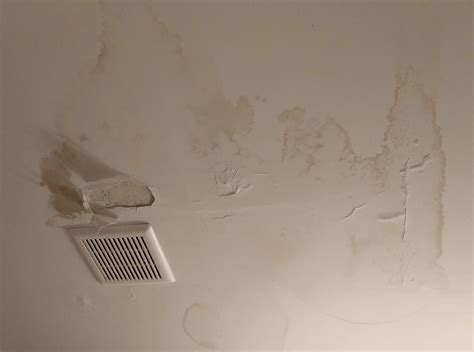 What You Can Do About Drywall Mold In Your Home How To Get Rid Of Mold