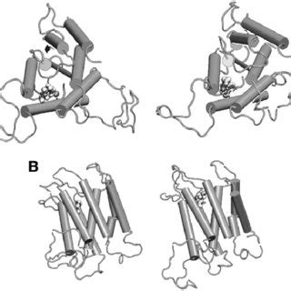 Predicted D Structure Of B Ar With Bound Epi A Side View B Top