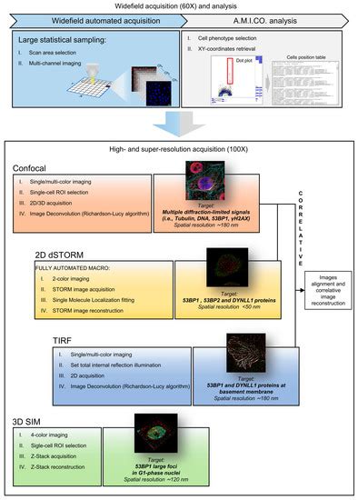 Cells Free Full Text Correlative Multi Modal Microscopy A Novel