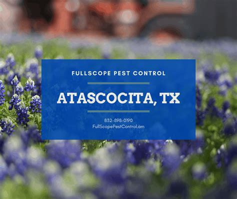Find out with a business license compliance package or upgrade for professional when you choose to work with business licenses, llc, our experienced professionals can handle even the hardest parts of obtaining a pest. Pest Control Atascocita - Exterminator - Inspection ...