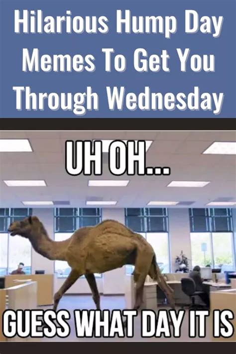 Hilarious Hump Day Memes To Help You Get To The Weekend Best Life