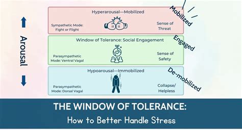 The Window Of Tolerance