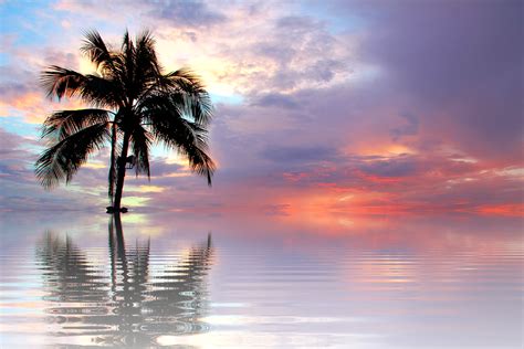 Sunset Sea Nature Free Photo On Pixabay