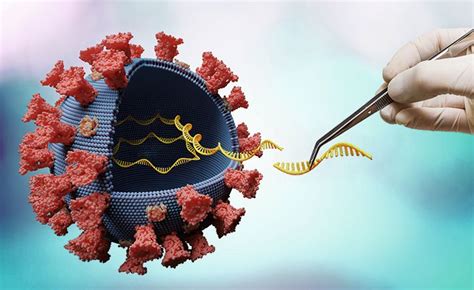 Das prinzip stammt aus der krebsforschung, wo seit jahren an personalisierten. mRNA-Impfstoff: Moderna und Curevac mit ersten Erfolgen