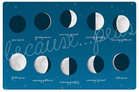 Moon Phases Poster Printable Poster Of The Phases Of The Etsy