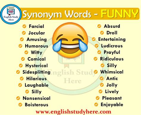 Funny Synonyms Words English Study Here