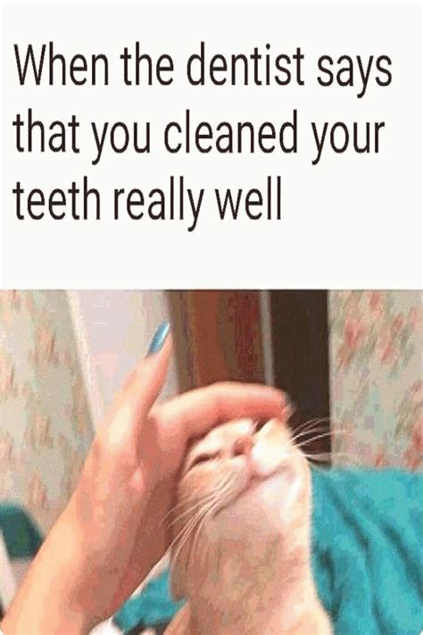 46 Meme Gifs Clean