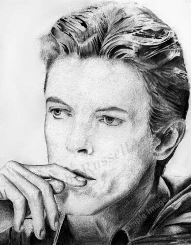 A4 A3 Or A2 Size David Bowie Art Print Of Original Pencil Drawing By