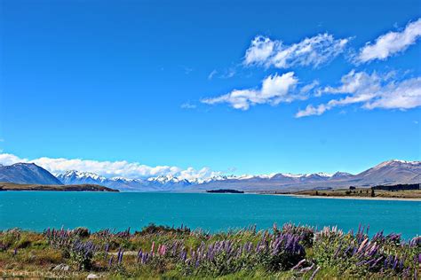 New Zealand 2012 Lake Tekapo Part 1 Regina Chow