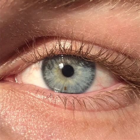 Rarest And Unusual Eye Colors That Looks Unreal