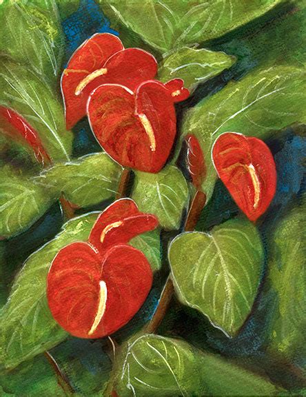 Its light, temperature, humidity preferences and any additional care it might need to help it grow. Anthurium flower painting, Hawaiian tropical Anthurium ...