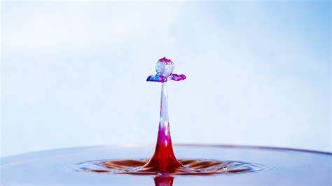 Drip, Drop, Splash | by Adam Karnacz | Vantage | Medium