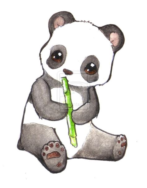 Free Cute Panda Drawing, Download Free Cute Panda Drawing png images
