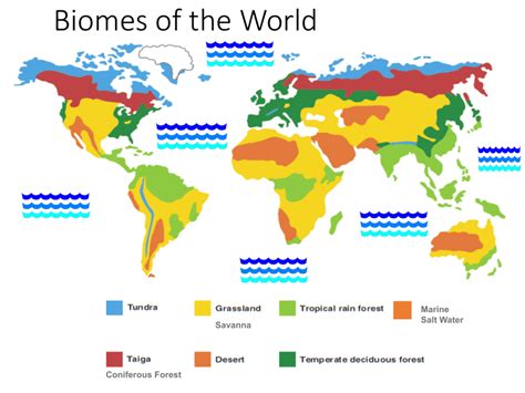 World Map Of Freshwater Biomes Map