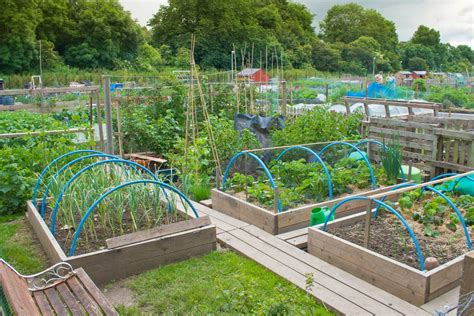 20 Impressive Vegetable Garden Designs And Plans Interior Design