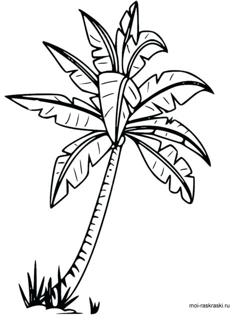 Cut out the shape and use it for coloring, crafts, stencils, and more. Palm Leaves Drawing at GetDrawings.com | Free for personal ...