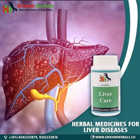 Herbal Liver Medicines Packaging Size 120 Capsules Rs 900 Pack Id