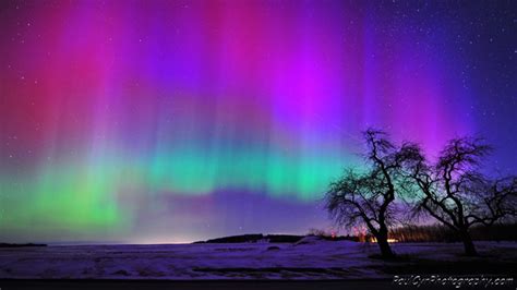 These tiny electrons mix with gases in the earth's atmosphere, which makes them glow. Northern Lights Paul Cyr - Maine Nature News